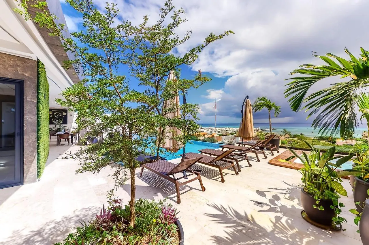 A Perfect Place 301 Playa del Carmen